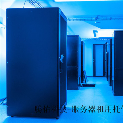 服務(wù)器租用 為企業(yè)數(shù)字化轉(zhuǎn)型提供堅實基礎(chǔ)